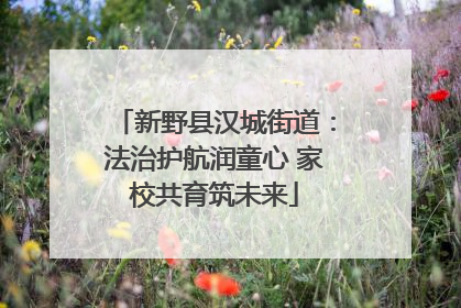 新野县汉城街道：法治护航润童心 家校共育筑未来