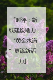 时评：新线建设助力“黄金水道”更添新活力