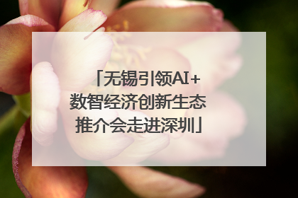 无锡引领AI+数智经济创新生态推介会走进深圳