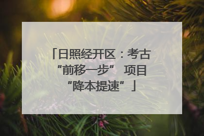 日照经开区：考古“前移一步” 项目“降本提速”