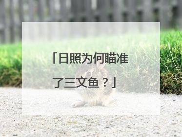 日照为何瞄准了三文鱼？