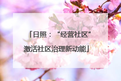 日照：“经营社区”激活社区治理新动能