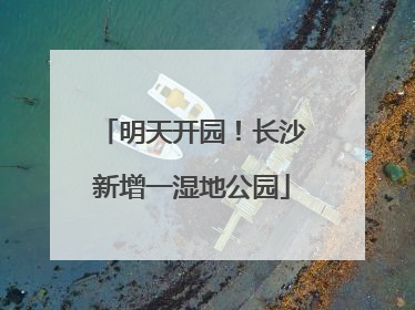 明天开园！长沙新增一湿地公园