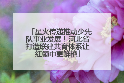 星火传递推动少先队事业发展！河北省打造联建共育体系让红领巾更鲜艳