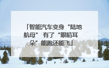 智能汽车变身“陆地航母” 有了“眼睛耳朵”能跑还能飞