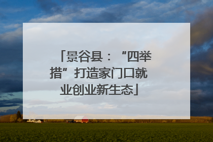 景谷县：“四举措”打造家门口就业创业新生态