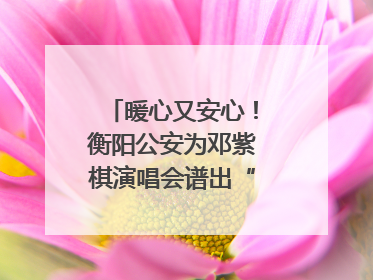 暖心又安心！衡阳公安为邓紫棋演唱会谱出“平安曲”