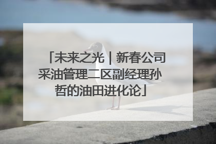 未来之光｜新春公司采油管理二区副经理孙哲的油田进化论