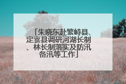 朱晓东赴繁峙县、定襄县调研河湖长制、林长制落实及防汛备汛等工作