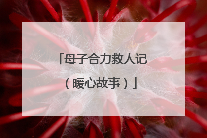 母子合力救人记（暖心故事）