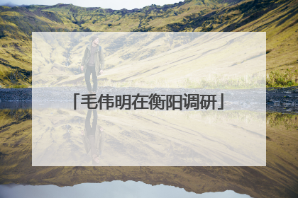 毛伟明在衡阳调研