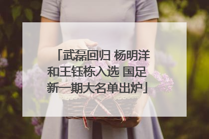 武磊回归 杨明洋和王钰栋入选 国足新一期大名单出炉