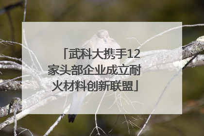 武科大携手12家头部企业成立耐火材料创新联盟