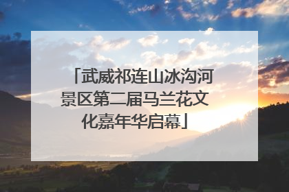 武威祁连山冰沟河景区第二届马兰花文化嘉年华启幕