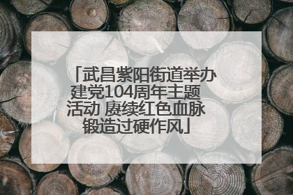 武昌紫阳街道举办建党104周年主题活动 赓续红色血脉锻造过硬作风