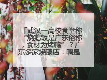 武汉一高校食堂称“烧鹅饭是广东俗称，食材为烤鸭”？广东多家烧鹅店：鸭是鸭鹅是鹅