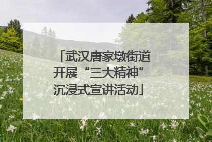 武汉唐家墩街道开展“三大精神”沉浸式宣讲活动