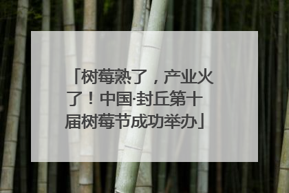 树莓熟了，产业火了！中国·封丘第十届树莓节成功举办