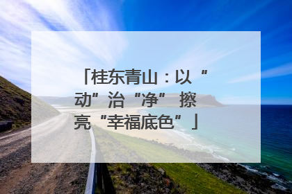桂东青山：以“动”治“净” 擦亮“幸福底色”