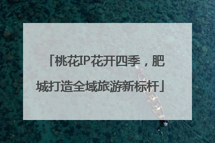 桃花IP花开四季，肥城打造全域旅游新标杆