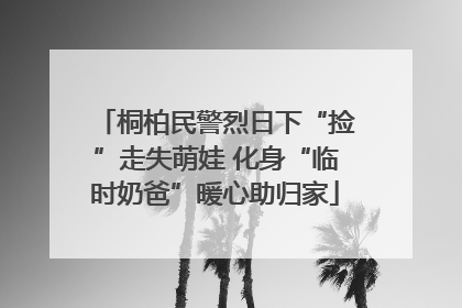 桐柏民警烈日下“捡”走失萌娃 化身“临时奶爸”暖心助归家