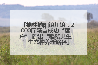 榆林榆阳镇川镇：2000斤蟹苗成功“落户” 蹚出“稻蟹共生”生态种养新路径