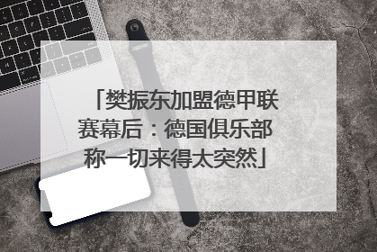 樊振东加盟德甲联赛幕后：德国俱乐部称一切来得太突然