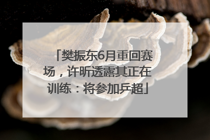 樊振东6月重回赛场，许昕透露其正在训练：将参加乒超