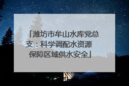 潍坊市牟山水库党总支：科学调配水资源 保障区域供水安全