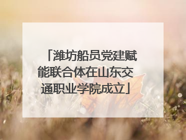 潍坊船员党建赋能联合体在山东交通职业学院成立