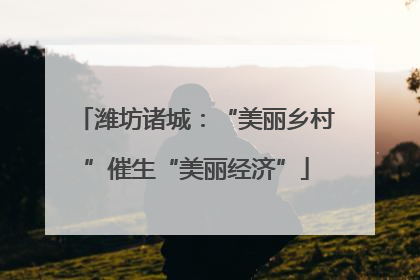潍坊诸城：“美丽乡村”催生“美丽经济”