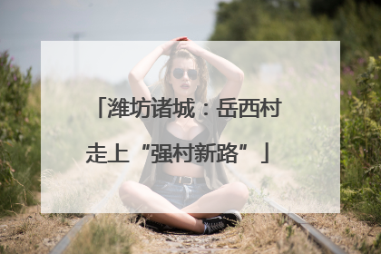 潍坊诸城：岳西村走上“强村新路”