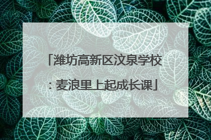 潍坊高新区汶泉学校：麦浪里上起成长课