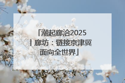 潮起廊洽2025丨廊坊：链接京津冀 面向全世界