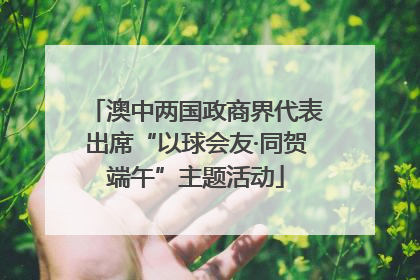 澳中两国政商界代表出席“以球会友·同贺端午”主题活动