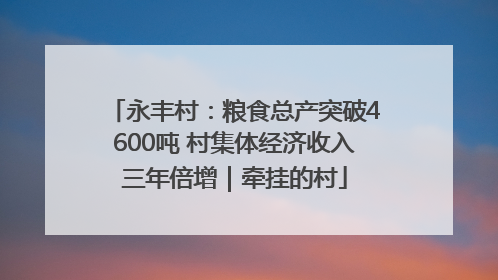 永丰村：粮食总产突破4600吨 村集体经济收入三年倍增｜牵挂的村