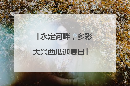 永定河畔，多彩大兴西瓜迎夏日