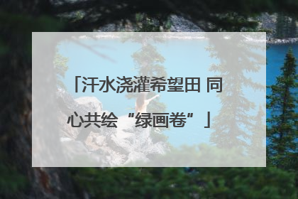 汗水浇灌希望田 同心共绘“绿画卷”
