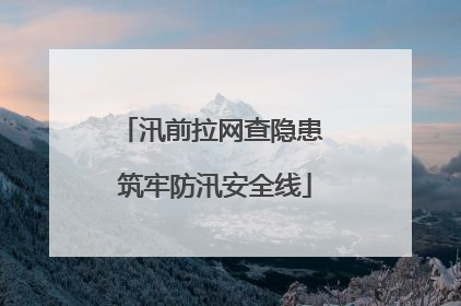 汛前拉网查隐患 筑牢防汛安全线