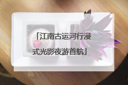 江南古运河行浸式光影夜游首航