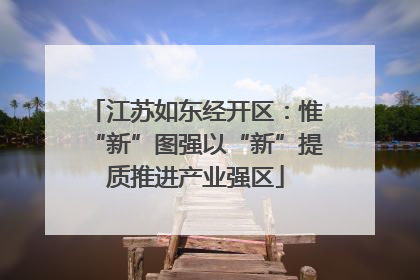 江苏如东经开区：惟“新”图强以“新”提质推进产业强区