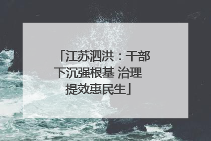 江苏泗洪：干部下沉强根基 治理提效惠民生
