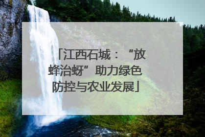 江西石城：“放蜂治蚜”助力绿色防控与农业发展