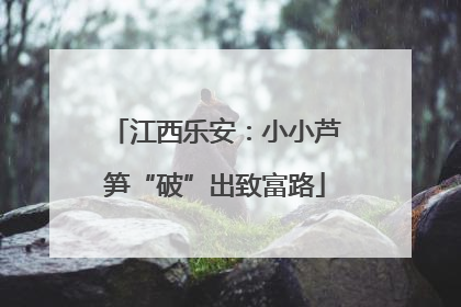 江西乐安：小小芦笋“破”出致富路