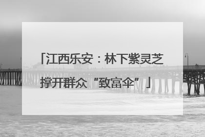 江西乐安：林下紫灵芝撑开群众“致富伞”
