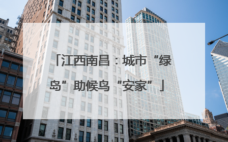江西南昌：城市“绿岛”助候鸟“安家”