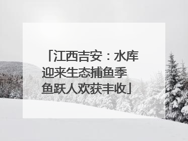 江西吉安：水库迎来生态捕鱼季 鱼跃人欢获丰收
