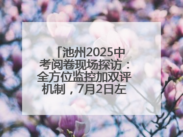 池州2025中考阅卷现场探访：全方位监控加双评机制，7月2日左右公布成绩