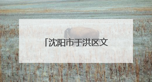 沈阳市于洪区文旅局副局长彭勃，职务有调整