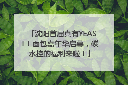 沈阳首届真有YEAST！面包嘉年华启幕，碳水控的福利来啦！